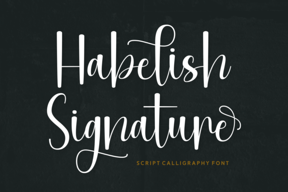 Habelish Signature: A Script Font for Editorial Elegance