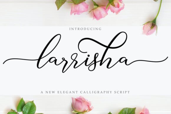 Larrisha Font Review