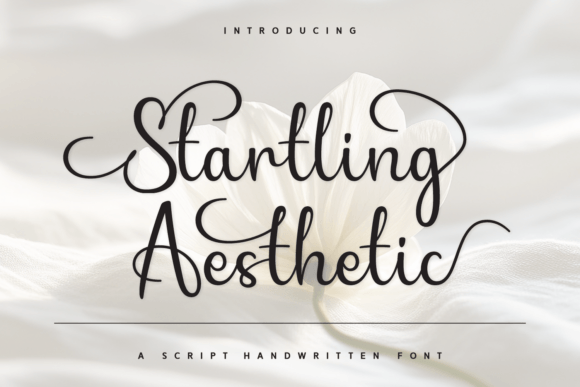 Startling Aesthetic: A Script Font for Modern Web Design